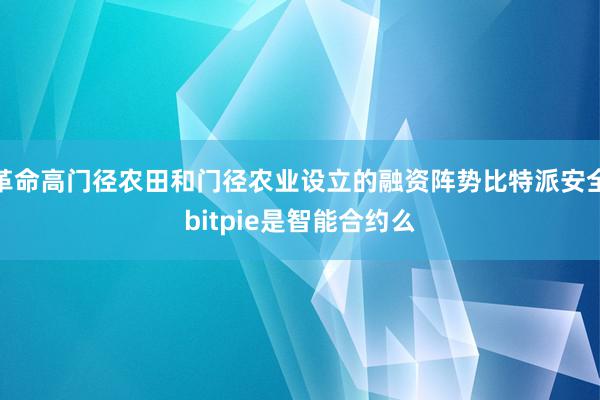 革命高门径农田和门径农业设立的融资阵势比特派安全bitpie是智能合约么