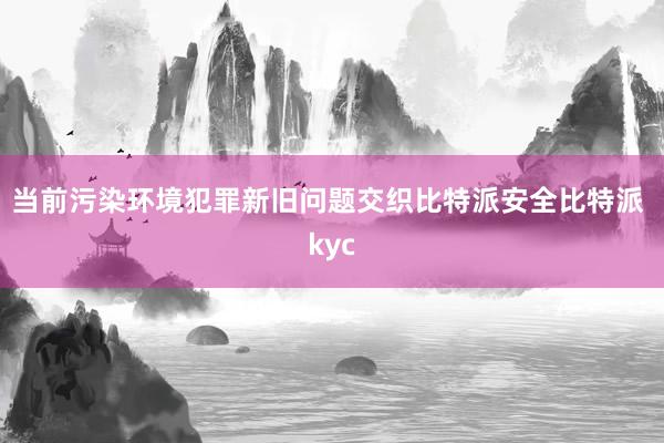 当前污染环境犯罪新旧问题交织比特派安全比特派 kyc