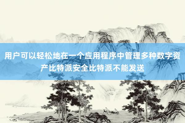 用户可以轻松地在一个应用程序中管理多种数字资产比特派安全比特派不能发送