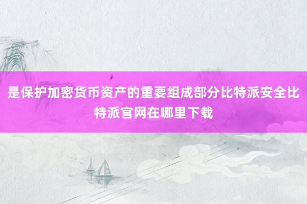 是保护加密货币资产的重要组成部分比特派安全比特派官网在哪里下载