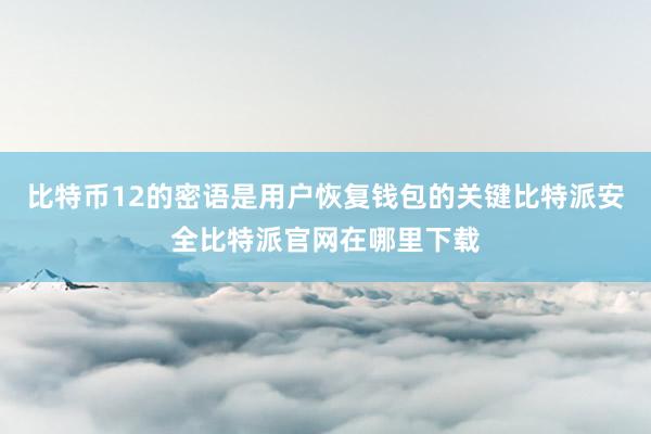 比特币12的密语是用户恢复钱包的关键比特派安全比特派官网在哪里下载