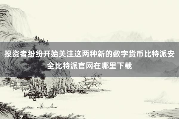 投资者纷纷开始关注这两种新的数字货币比特派安全比特派官网在哪里下载