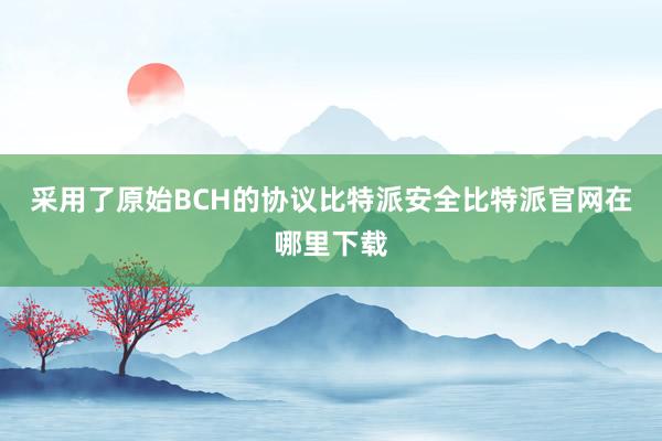 采用了原始BCH的协议比特派安全比特派官网在哪里下载