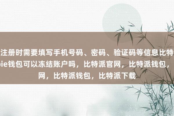 注册时需要填写手机号码、密码、验证码等信息比特派安全bitpie钱包可以冻结账户吗，比特派官网，比特派钱包，比特派下载