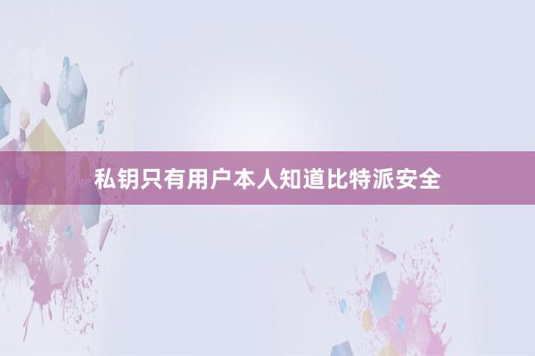 私钥只有用户本人知道比特派安全