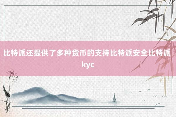 比特派还提供了多种货币的支持比特派安全比特派 kyc