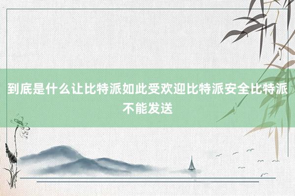 到底是什么让比特派如此受欢迎比特派安全比特派不能发送