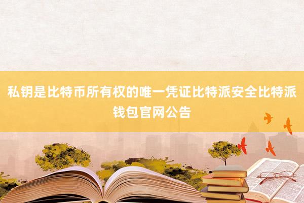 私钥是比特币所有权的唯一凭证比特派安全比特派钱包官网公告