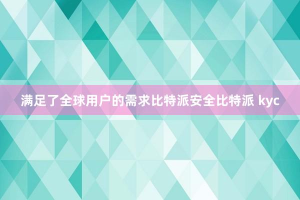 满足了全球用户的需求比特派安全比特派 kyc