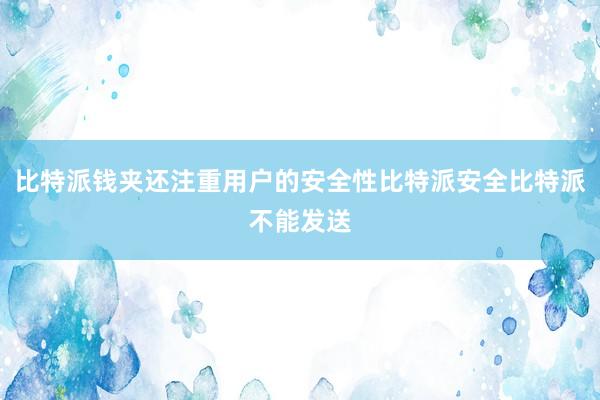 比特派钱夹还注重用户的安全性比特派安全比特派不能发送