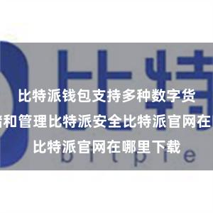 比特派钱包支持多种数字货币的存储和管理比特派安全比特派官网在哪里下载