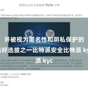 并被视为匿名性和阴私保护的最好选拔之一比特派安全比特派 kyc